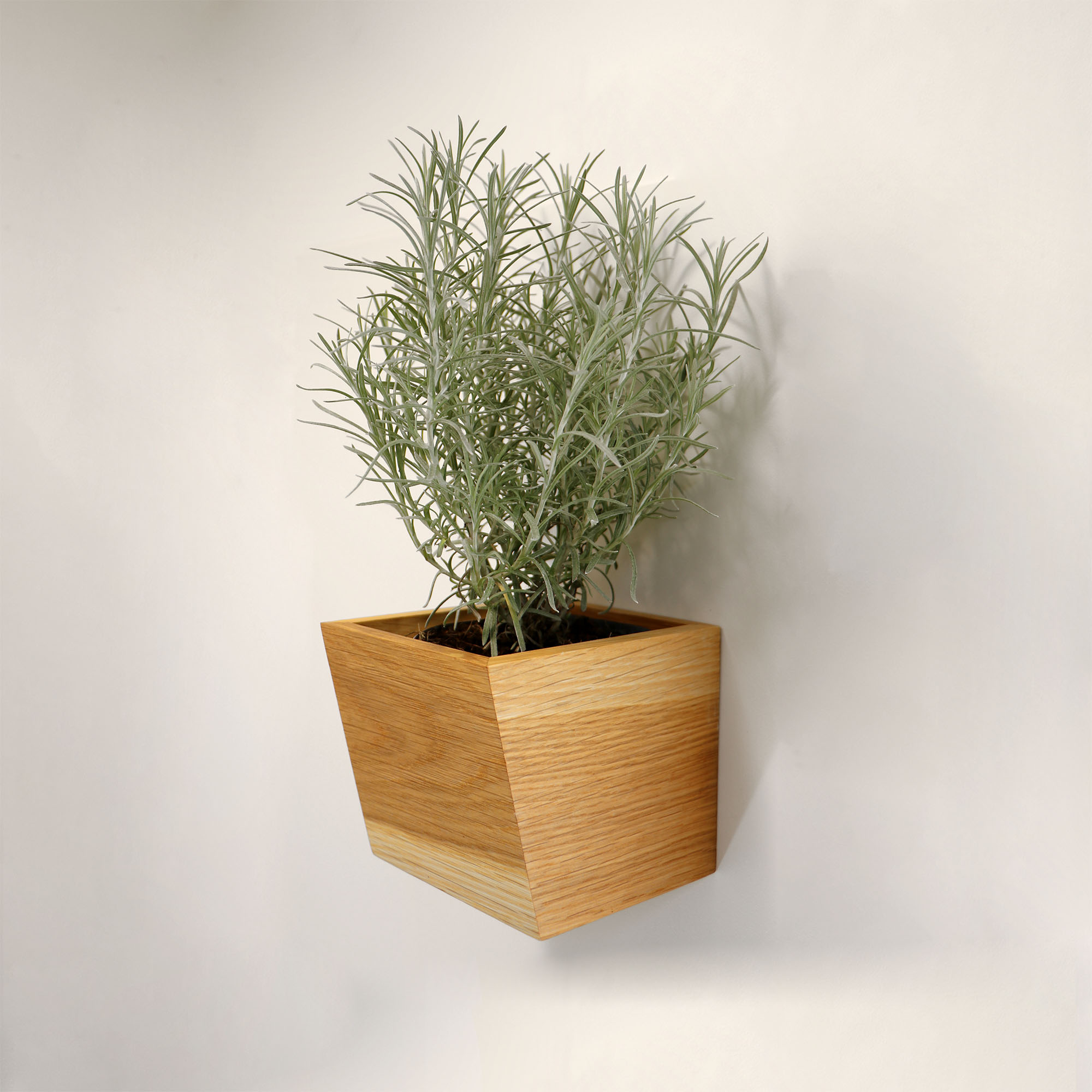 Planter • W • oblique