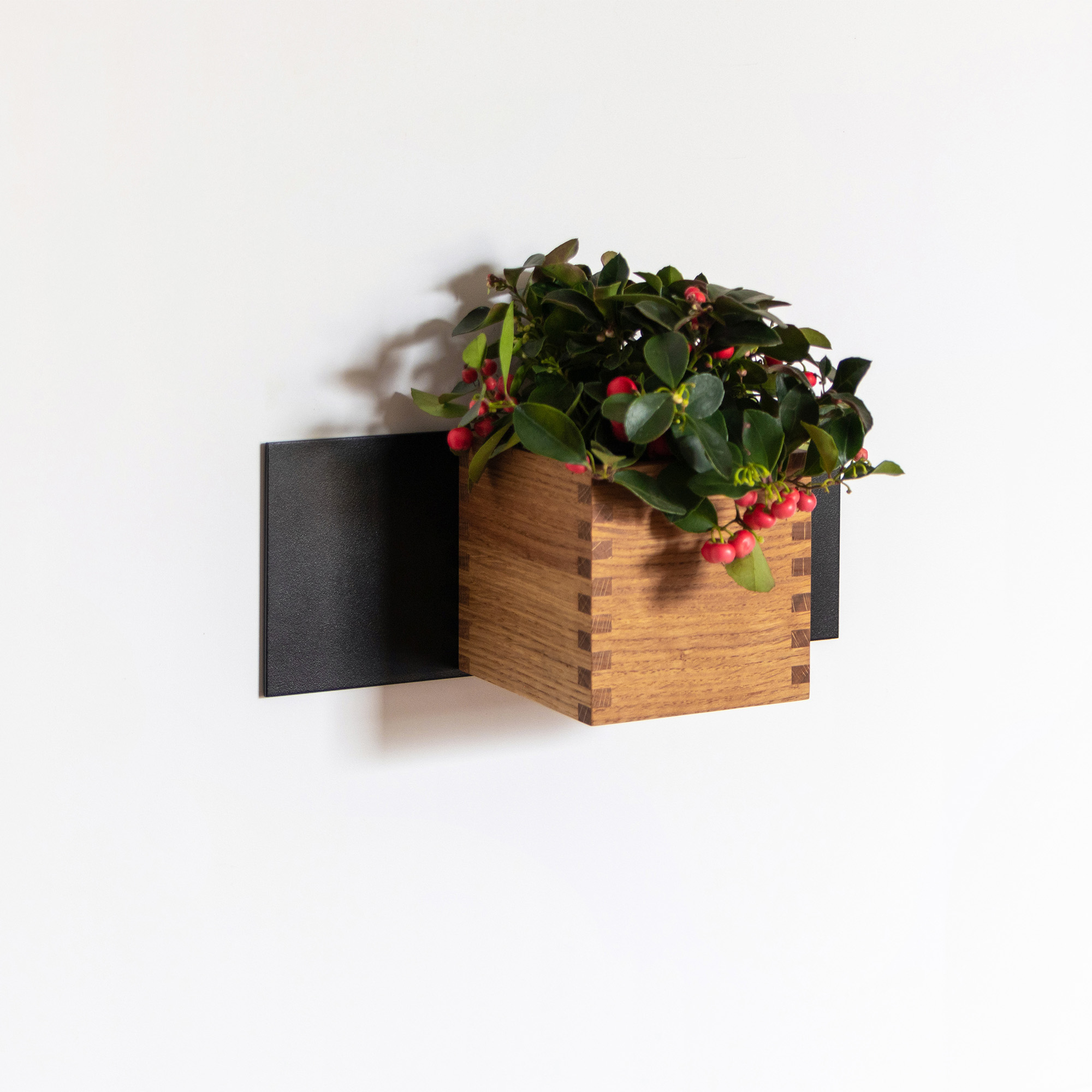 SET 11 x 30 Küche #1 – Bild 3